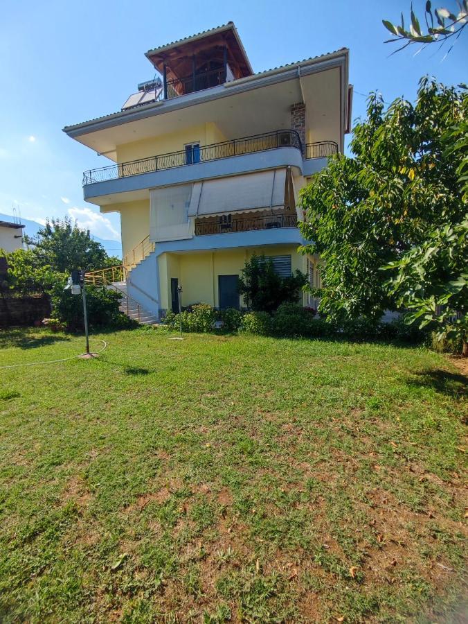 Cheerful 2 Bedroom Villa With Free Parking. Gjirokaster Exterior photo